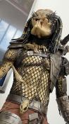 Predator Jungle Hunter Regular | Sideshow