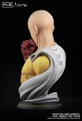 SAITAMA 1/1 MUB One Punch Man | Tsume Art