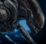 Alien: Romulus figurine Movie Masterpiece 1/6 Scorched Xenomorph 44 cm | HOT TOYS