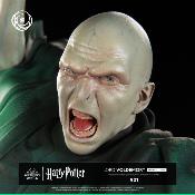 Voldemort 1/6 Harry Potter Ikigai | Tsume Art 