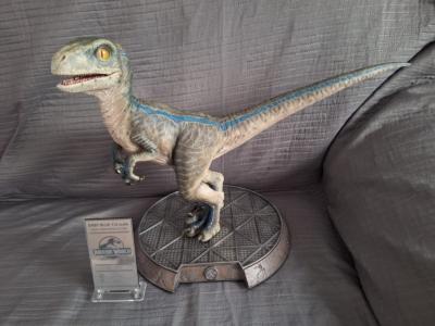 Jurassic World: Fallen Kingdom statuette Prime Collectibles 1/2 Baby Blue 34 cm | Prime 1 Studios