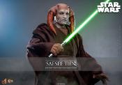 Star Wars, épisode III : La Revanche des Sith figurine Movie Masterpiece 1/6 Saesee Tiin 31 cm | HOT TOYS