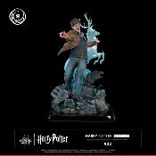 Harry Potter 1/6 Harry Potter Ikigai | Tsume Art 