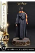 Harry Potter statuette Prime Collectibles 1/6 Harry Potter 28 cm | Prime 1 Studio
