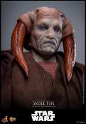 Star Wars, épisode III : La Revanche des Sith figurine Movie Masterpiece 1/6 Saesee Tiin 31 cm | HOT TOYS