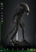 Alien figurine Movie Masterpiece 1/6 Big Chap 36 cm | HOT TOYS
