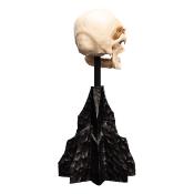 Le Seigneur des Anneaux statuette Skull of a Mordor Orc 14 cm | WETA