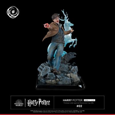 Harry Potter 1/6 Harry Potter Ikigai | Tsume Art 