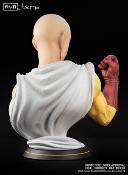 Rei 1/6 HQS Hokuto No Ken statue | Tsume Art