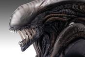 Alien Romulus buste 1/1 Xenomorph 53 cm | HOLLYWOOD COLLECTIBLES GROUP