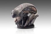 Alien Romulus buste 1/1 Xenomorph 53 cm | HOLLYWOOD COLLECTIBLES GROUP