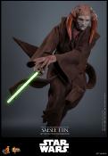 Star Wars, épisode III : La Revanche des Sith figurine Movie Masterpiece 1/6 Saesee Tiin 31 cm | HOT TOYS