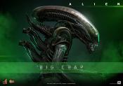 Alien figurine Movie Masterpiece 1/6 Big Chap 36 cm | HOT TOYS