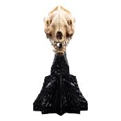 Le Seigneur des Anneaux statuette Skull of a Warg 20 cm | WETA