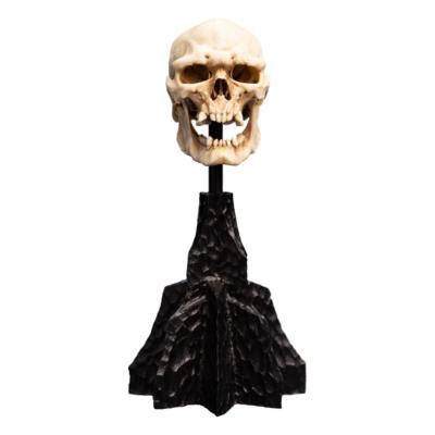 Le Seigneur des Anneaux statuette Skull of a Mordor Orc 14 cm | WETA