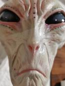 The Dulce Wars buste 1/1 Alien Grey 61 cm ECC| Elites Creatures Collectibles