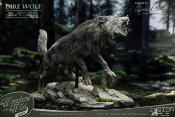 Wonders of the Wild Series statuette Dire Wolf 28 cm | STAR ACE 