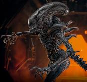 Alien: Romulus figurine Movie Masterpiece 1/6 Scorched Xenomorph 44 cm | HOT TOYS