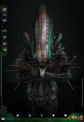 Alien figurine Movie Masterpiece 1/6 Big Chap 36 cm | HOT TOYS