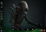 Alien figurine Movie Masterpiece 1/6 Big Chap 36 cm | HOT TOYS
