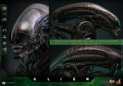 Alien figurine Movie Masterpiece 1/6 Big Chap 36 cm | HOT TOYS