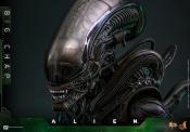 Alien figurine Movie Masterpiece 1/6 Big Chap 36 cm | HOT TOYS