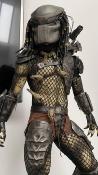 Predator Jungle Hunter Regular | Sideshow