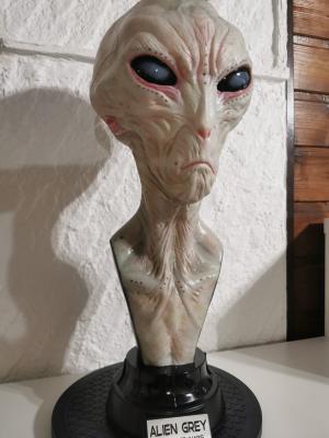 The Dulce Wars buste 1/1 Alien Grey 61 cm ECC| Elites Creatures Collectibles
