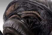 Alien Romulus buste 1/1 Xenomorph 53 cm | HOLLYWOOD COLLECTIBLES GROUP