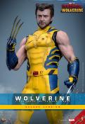 Deadpool & Wolverine Movie Masterpiece figurine 1/6 Wolverine (Deluxe Version) 31 cm | HOT TOYS