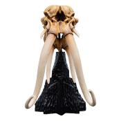Le Seigneur des Anneaux statuette Skull of a Mumak 15 cm | WETA