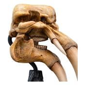Le Seigneur des Anneaux statuette Skull of a Mumak 15 cm | WETA