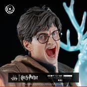 Harry Potter 1/6 Harry Potter Ikigai | Tsume Art 