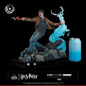 Harry Potter 1/6 Harry Potter Ikigai | Tsume Art 