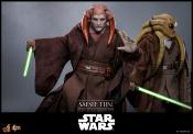 Star Wars, épisode III : La Revanche des Sith figurine Movie Masterpiece 1/6 Saesee Tiin 31 cm | HOT TOYS