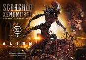 Alien: Romulus statuette Museum Masterline XL 1/3 Scorched Xenomorph 98 cm | PRIME 1 STUDIO