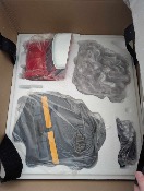 City Hunter 1/6  Nicky Larson Statue (Ryo Saeba) | Oniri Créations