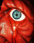 Femto, The Falcon of Darkness | Prime 1 