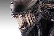 Alien Romulus buste 1/1 Xenomorph 53 cm | HOLLYWOOD COLLECTIBLES GROUP