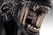 Alien Romulus buste 1/1 Xenomorph 53 cm | HOLLYWOOD COLLECTIBLES GROUP