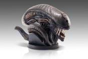 Alien Romulus buste 1/1 Xenomorph 53 cm | HOLLYWOOD COLLECTIBLES GROUP