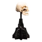 Le Seigneur des Anneaux statuette Skull of a Mordor Orc 14 cm | WETA