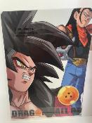 ICHIBAN KUJI CLEAR FILE  DBS 7