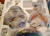 Goku Vs Nappa HQS Dragon Ball Z Statue | TSUME-ART