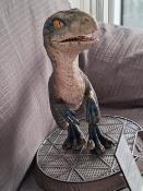 Jurassic World: Fallen Kingdom statuette Prime Collectibles 1/2 Baby Blue 34 cm | Prime 1 Studios