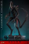 Alien: Romulus figurine Movie Masterpiece 1/6 Scorched Xenomorph 44 cm | HOT TOYS