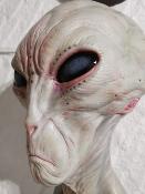 The Dulce Wars buste 1/1 Alien Grey 61 cm ECC| Elites Creatures Collectibles